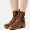 Winter Boot - Bottines À Lacets - Cognac -Anna Field 59b6f53e5bf5462ca2f0387d989a6f17